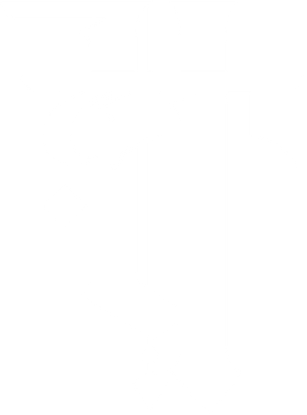 VERITAS